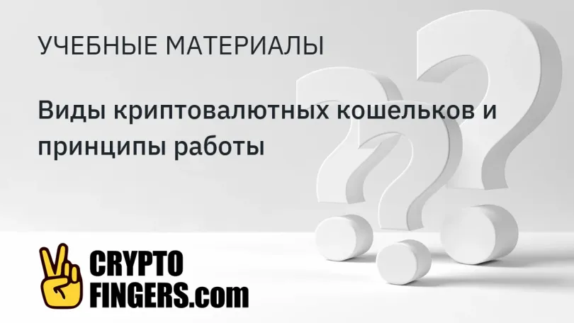 Учебные материалы: Виды криптовалютных кошельков и принципы работы