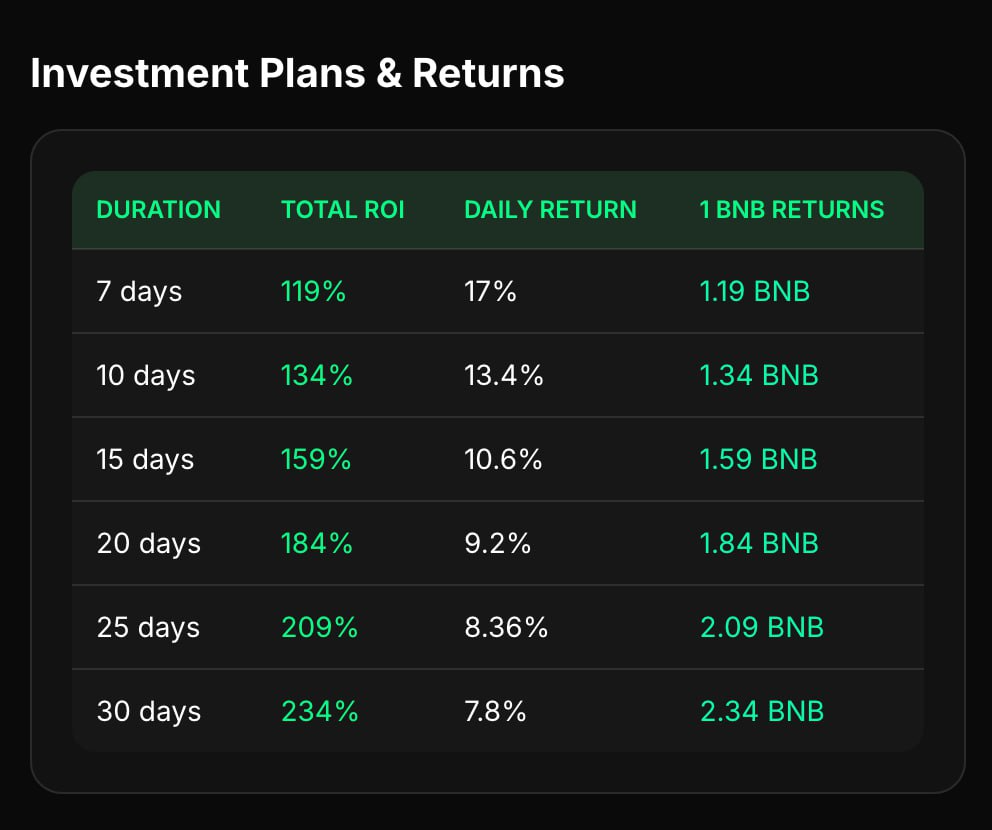 Crypto Analysis: BNBCapital's Fingerprints Show True Immutability with 239% Returns and Zero Admin Functions