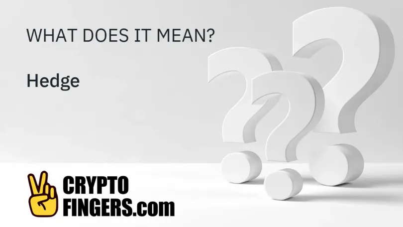 Crypto Terms Glossary: What is Hedge?