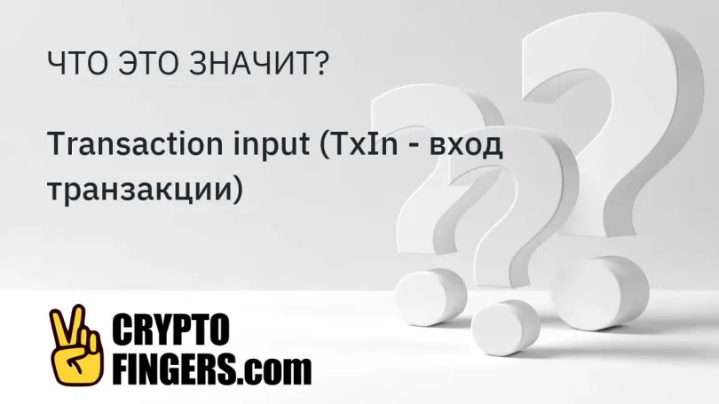 Словарь криптотерминов: Что такое Transaction input (TxIn - вход транзакции)?