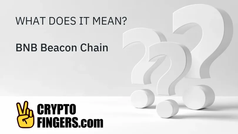 Crypto Terms Glossary: What is BNB Beacon Chain?