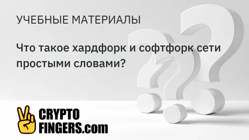 Хакерская атака: Что такое хардфорк и софтфорк сети простыми словами?