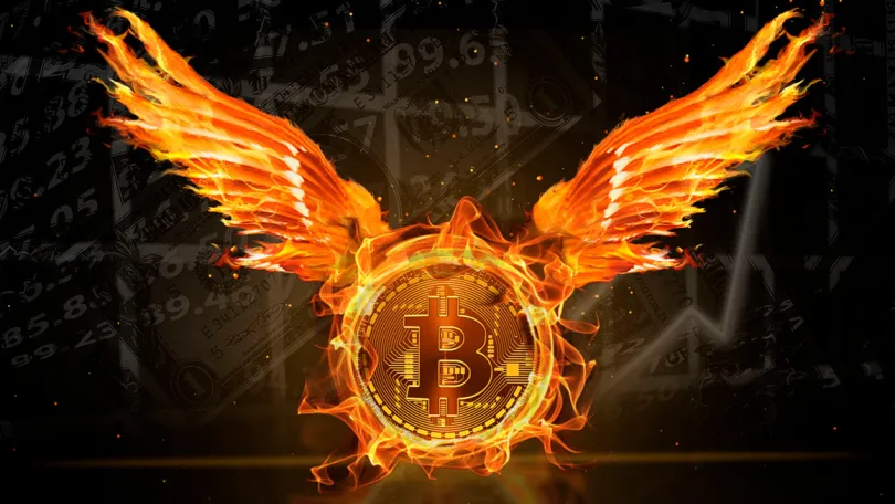 Bitcoin: Bitcoin in 2023 - Phoenix rises from the ashes