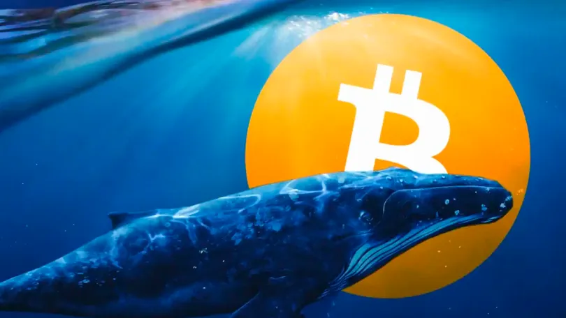 Bitcoin: A major Bitcoin whale from the time of Satoshi sold 1000 BTC for $68 million