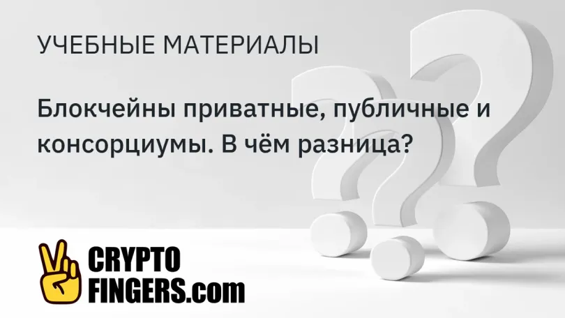 Учебные материалы: Блокчейны приватные, публичные и консорциумы. В чём разница?