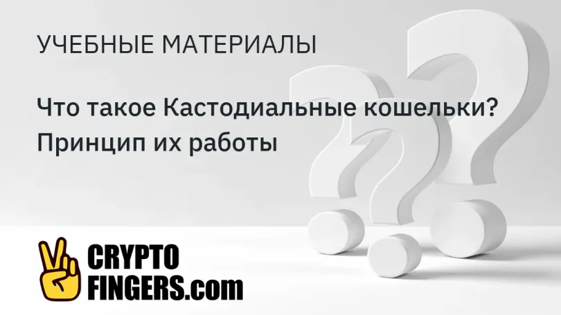 Учебные материалы: Что такое Кастодиальные кошельки? Принцип их работы