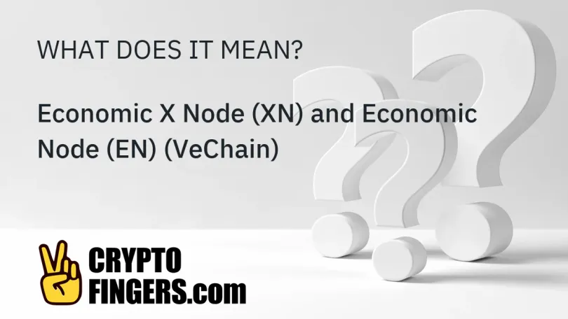 Crypto Terms Glossary: What is Economic X Node (XN) and Economic Node (EN) (VeChain)?