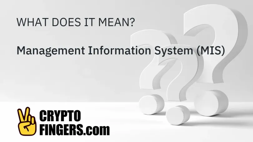 Crypto Terms Glossary: What is Management Information System (MIS)?